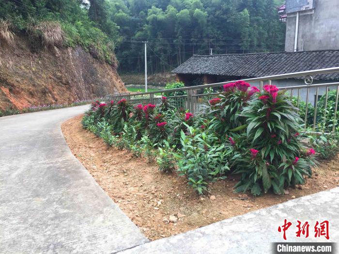 湖南桃江回族乡人居环境整治纪实：“风景”这边独好