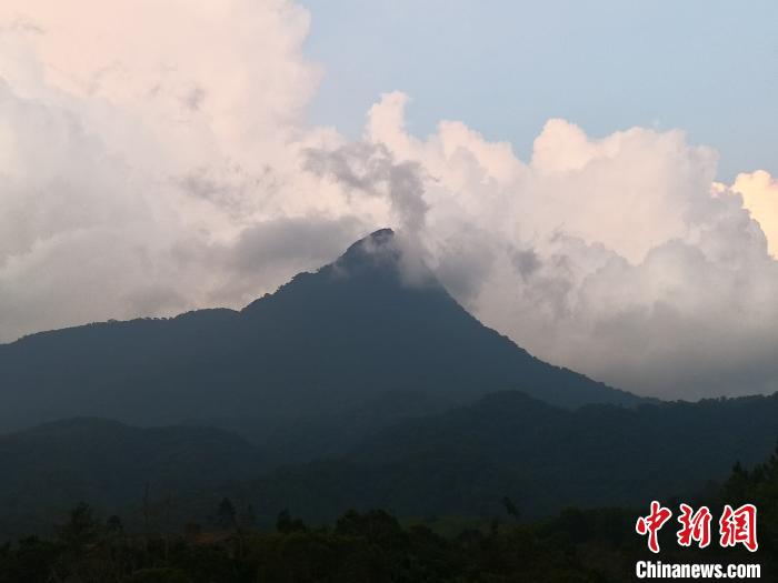 海南推动热带雨林之美“深入寻常百姓家”