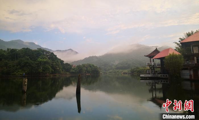 海南推动热带雨林之美“深入寻常百姓家”