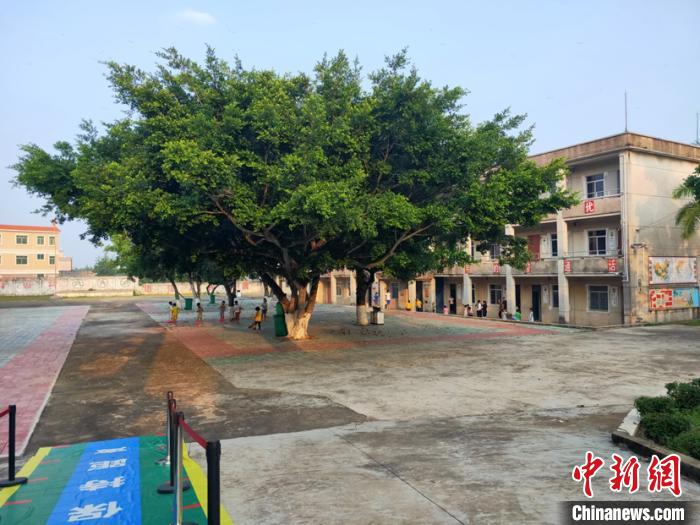 广东教育扶贫路上的乡村教师