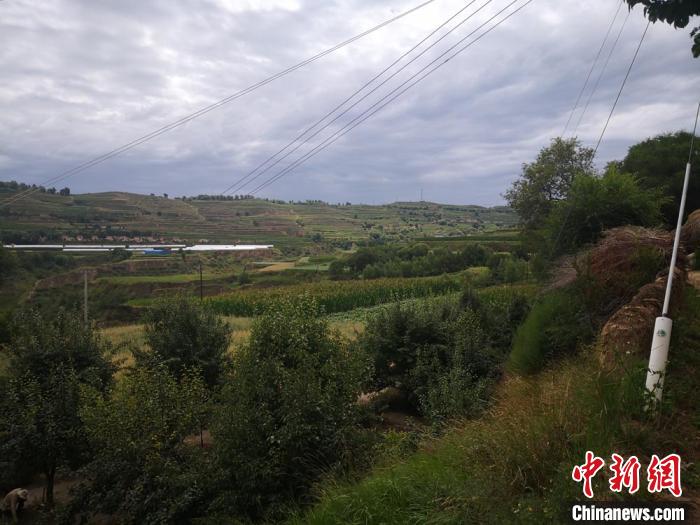 甘肃定西：荒山披绿成林，雨天山沟泥沙俱下不多见了