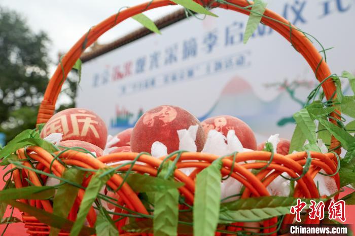 北京花果观光采摘季启动近千特色果园喜迎宾客