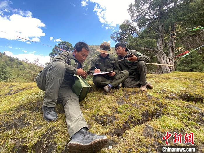 “中国湿岛”守护者：日行50公里翻山越岭只为守护家园