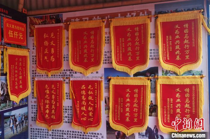新疆“天马”赠福建救人马主