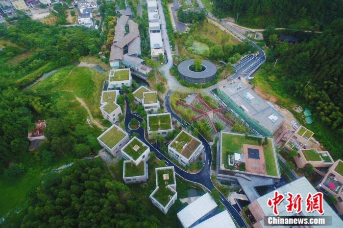 景德镇山谷里的“艺术聚落”：从破落村庄到世外“陶”源
