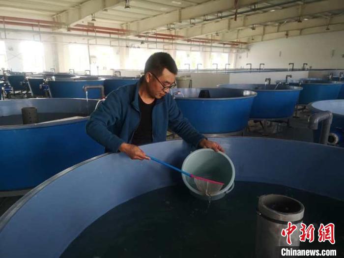 吉林丰满重建工程永庆鱼类增殖站首次放流