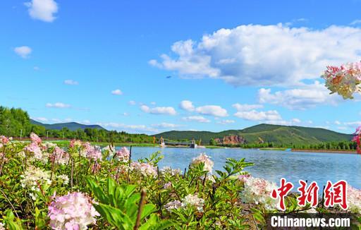 内蒙古“药材福地”化身“绿色银行”：生态美产业兴百姓富