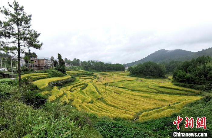 “脱贫振兴八闽行”活动走进福建南安