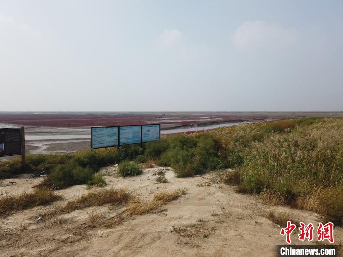 辽宁盘锦造就全国最大“退养还湿”单体工程