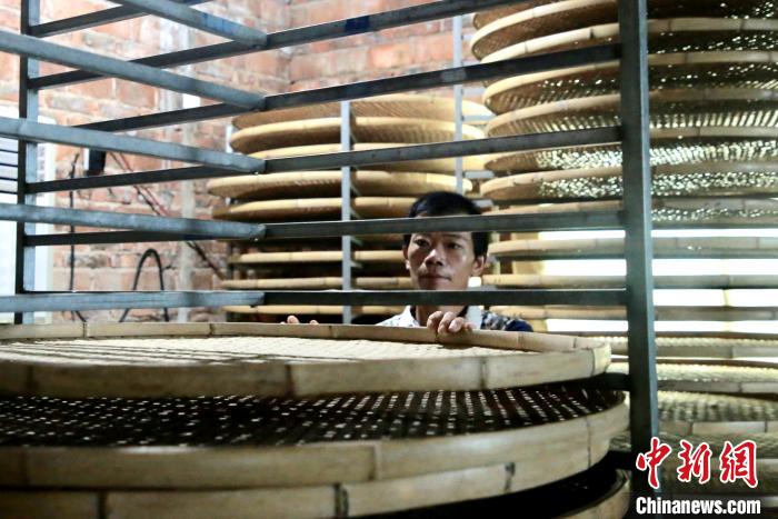 贫困户成制茶能手脱贫农家飘茶香