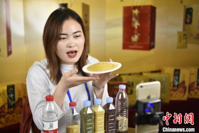 谷物专家“小杂粮王国”论道助山西小米走出国门