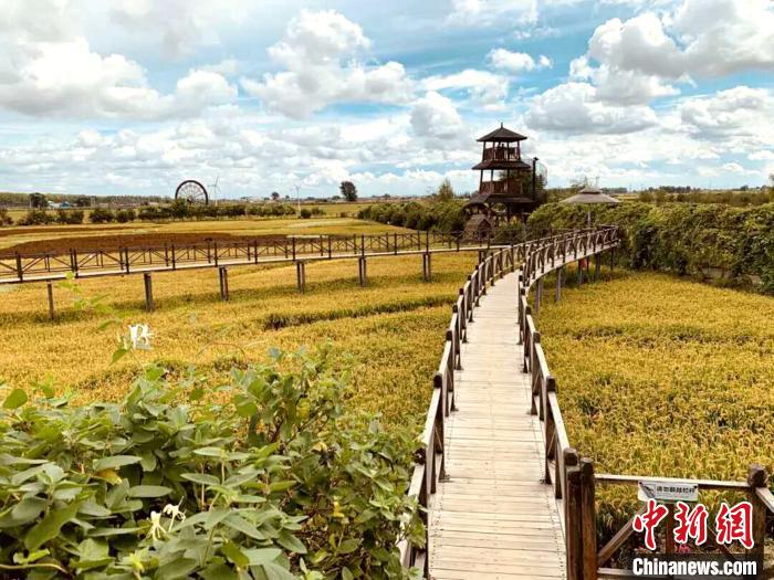 《我和我的家乡》热映带火沈阳沈北新区美丽乡村