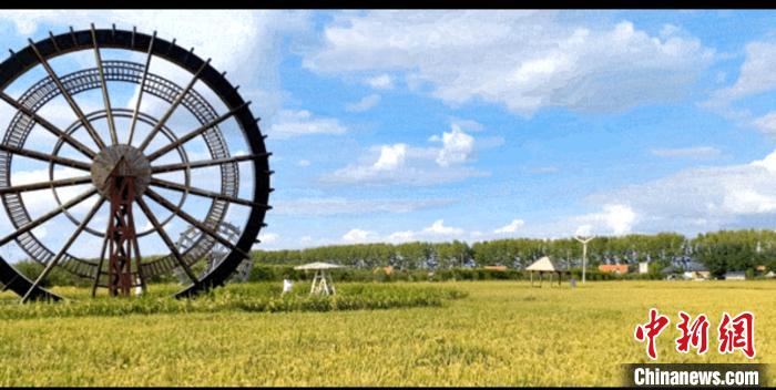 《我和我的家乡》热映带火沈阳沈北新区美丽乡村