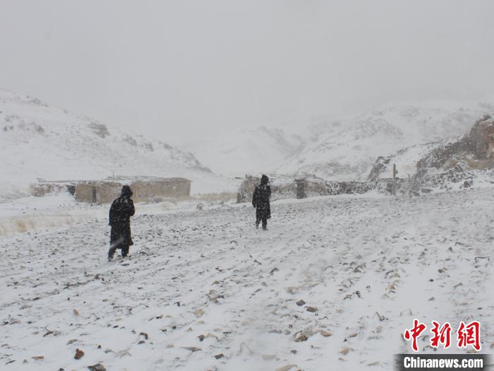 新疆哈密山区突降暴风雪致牧民被困、羊群走失民警火速救援