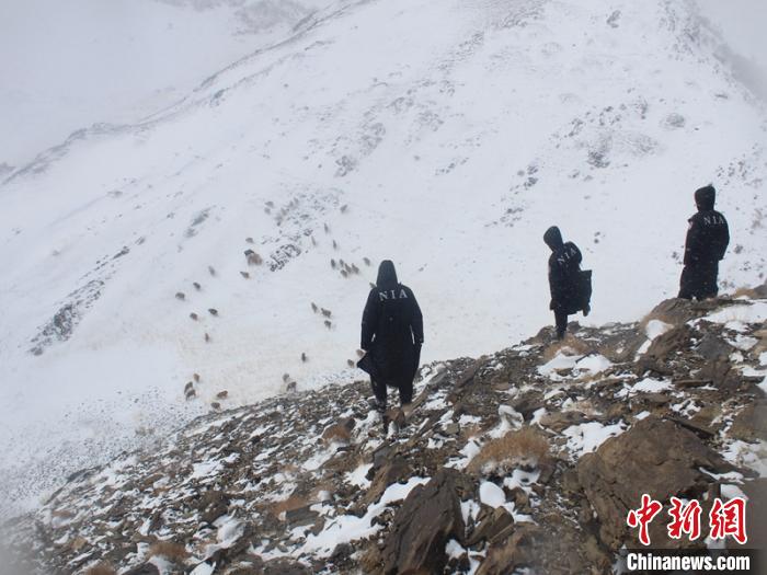 新疆哈密山区突降暴风雪致牧民被困、羊群走失民警火速救援