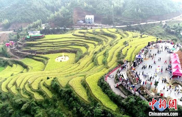 开镰文化节引游人福建农耕文化受青睐