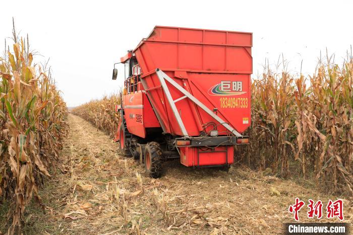 秸秆覆盖保护性耕作技术在辽宁逐渐大面积推广应用