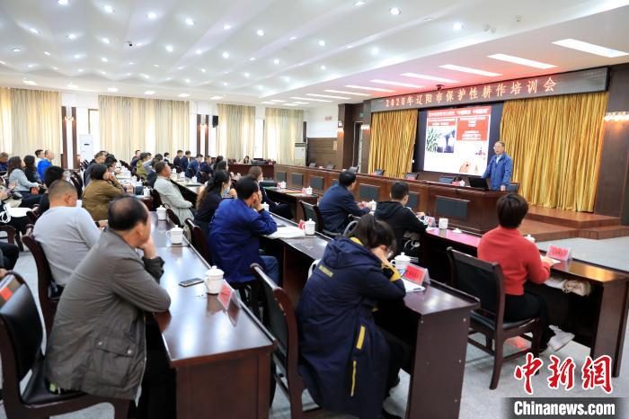 秸秆覆盖保护性耕作技术在辽宁逐渐大面积推广应用