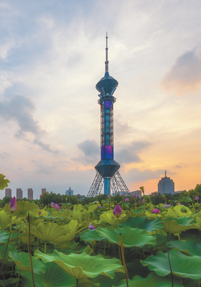 越来越美的石家庄(我与一座城)