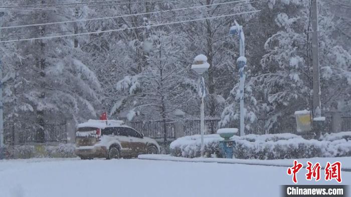 内蒙古大兴安岭满归林区落下首场降雪积雪厚度超过20厘米