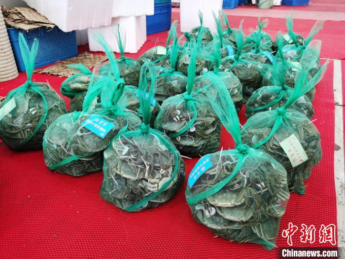 节后日销量不足节前一半阳澄湖大闸蟹遭“冷遇”？