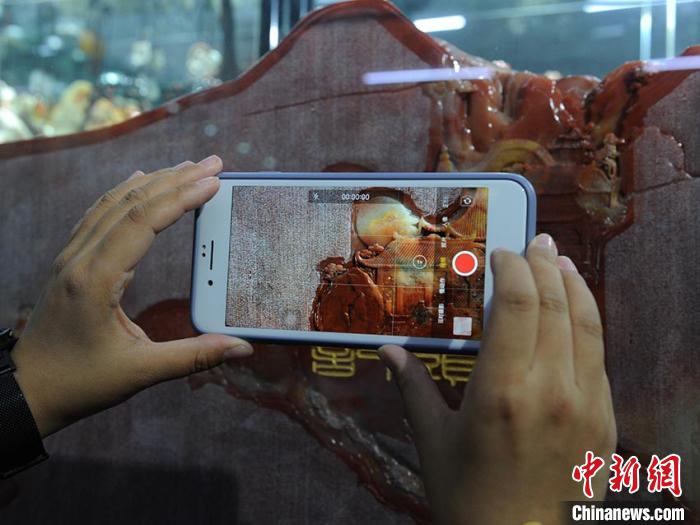 老人微刻《石头记》：5年刻逾60万字字均0.3毫米