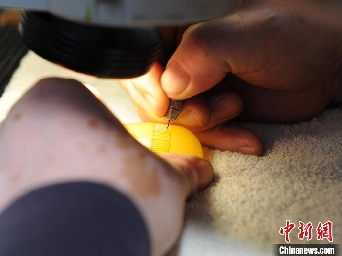 老人微刻《石头记》：5年刻逾60万字字均0.3毫米