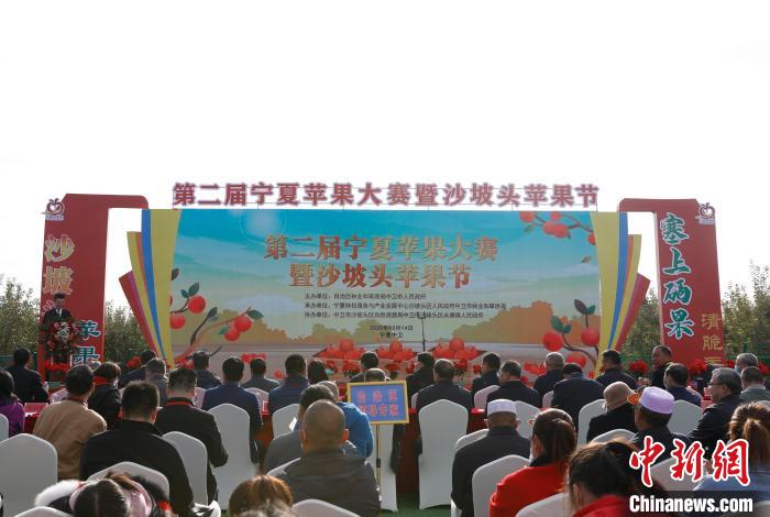 宁夏举办第二届苹果大赛4颗“果王”脱颖而出