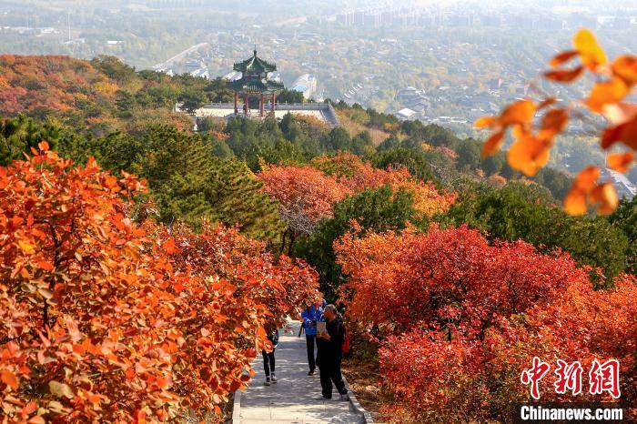 北京迎来红叶最佳观赏期公布19处特色彩叶景区