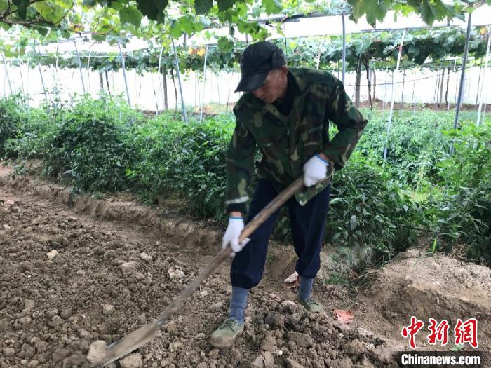 安徽山区：返乡创业青年带家乡父老脱贫致富