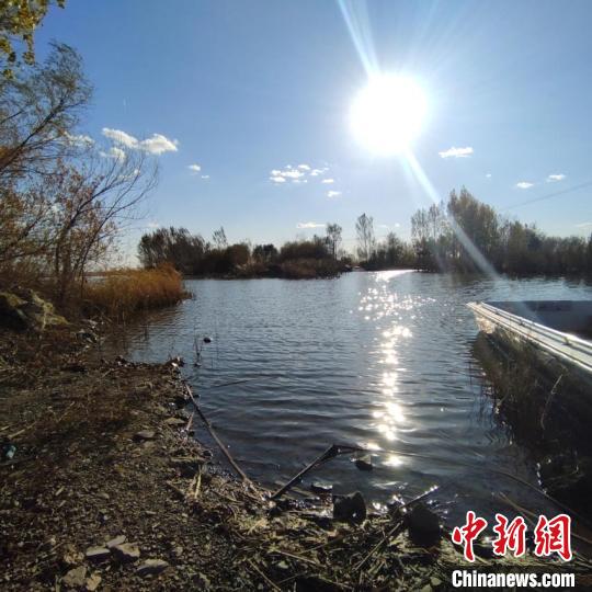 上百种鸟类在吉林找到新家：城市周边湿地成“天堂”