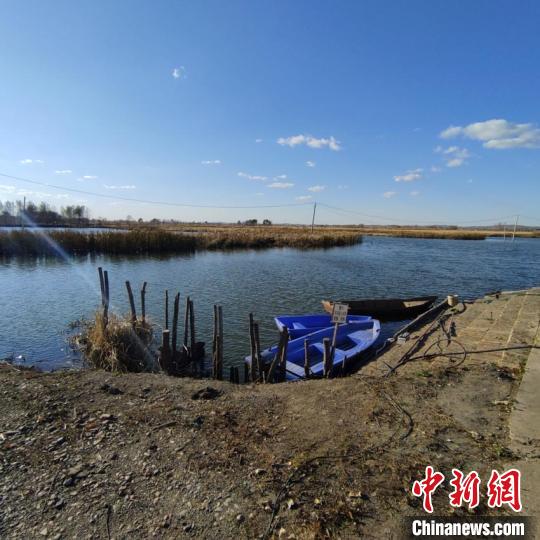 上百种鸟类在吉林找到新家：城市周边湿地成“天堂”