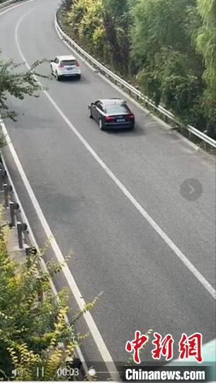 高速上“组团”倒车你见过吗？河北高速交警：查！