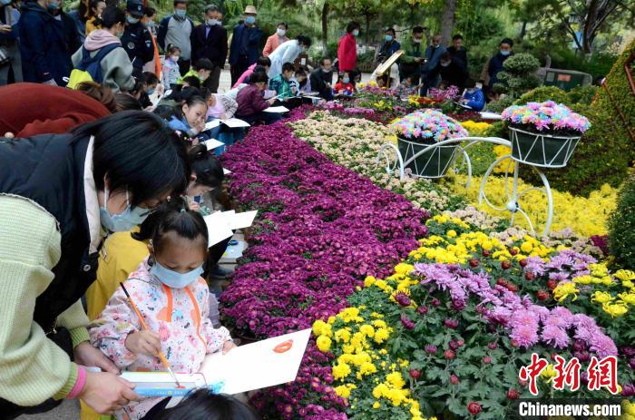 济南趵突泉金秋菊展开幕名泉古雅建筑艳遇菊花盛宴