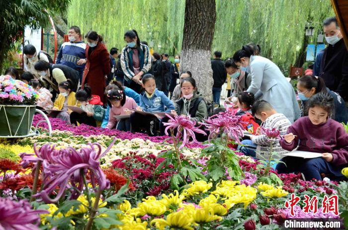 济南趵突泉金秋菊展开幕名泉古雅建筑艳遇菊花盛宴