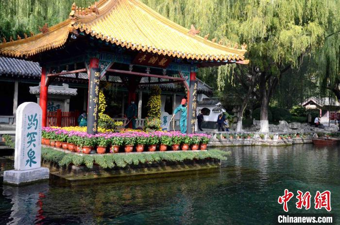 济南趵突泉金秋菊展开幕名泉古雅建筑艳遇菊花盛宴