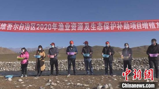 新疆巩乃斯河放流4万尾优质鱼苗补充鱼类资源