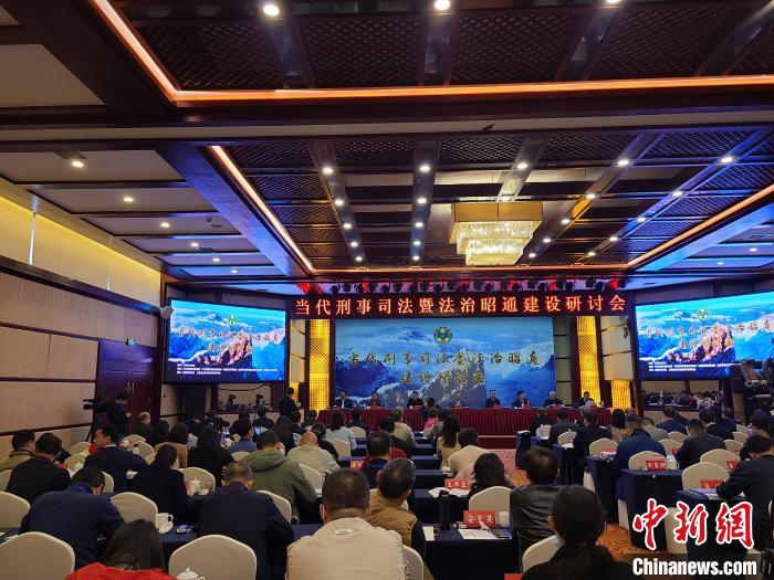 专家建议，完善跨国电信诈骗犯罪立法加强国际执法合作