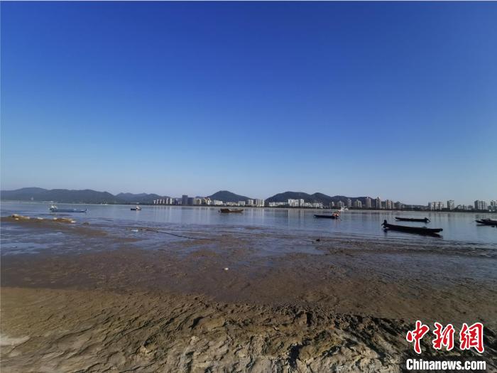 钱塘江预计出现近4年最低水位大量船舶吃水受限被困