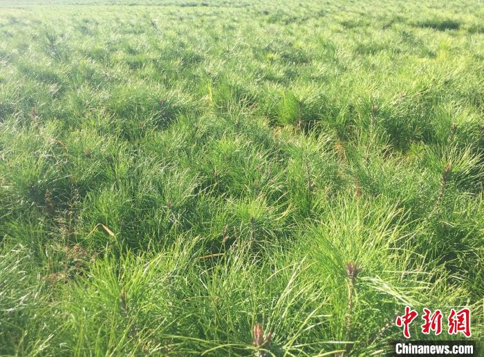 山西生态扶贫：“绿水青山”成民众致富增收“靠山”