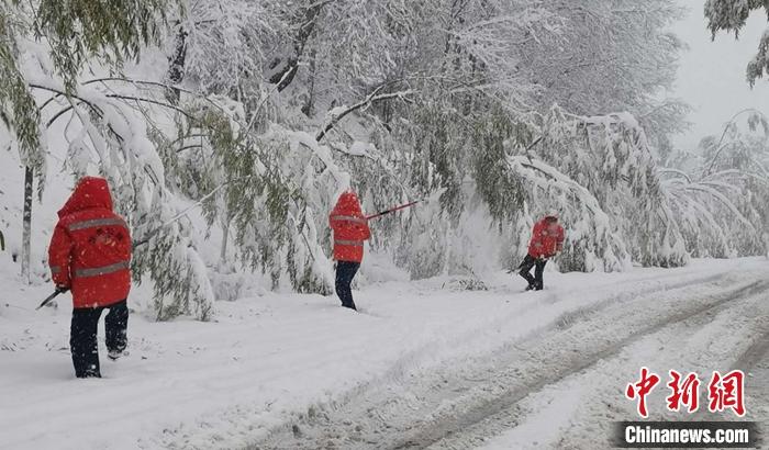 甘肃多地现“半框秋色半框雪”局地面临暴雪或降温考验