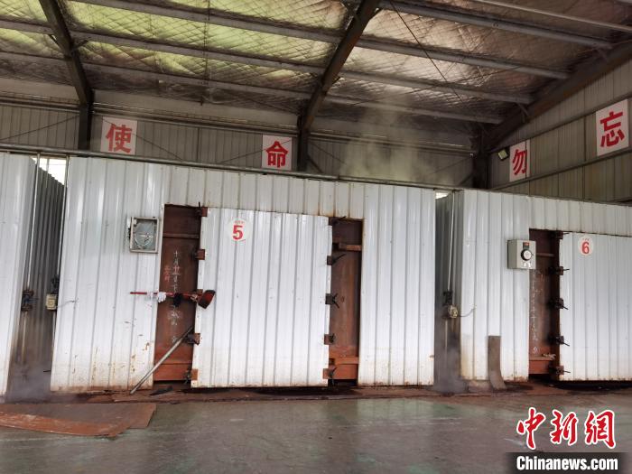 一棵草的扶贫之路折射中国减贫智慧