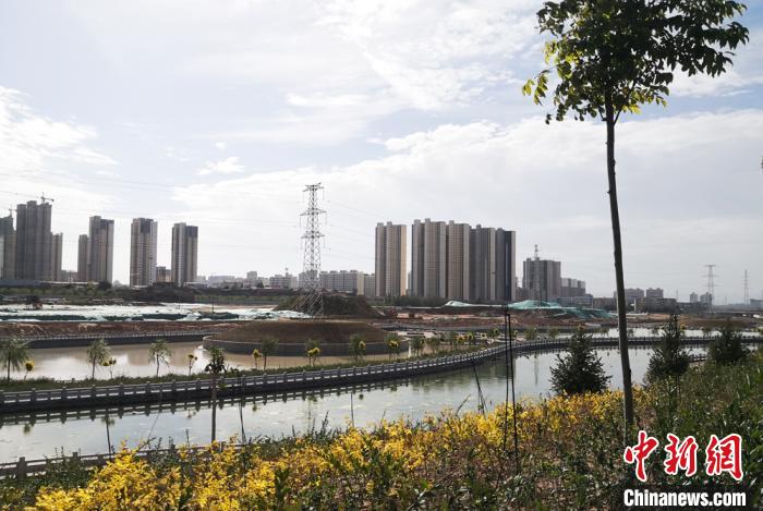 甘肃白银荒山三十载变“山清水秀”昔日排洪沟芳香满园似景区