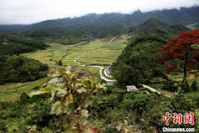 江西农村脱贫攻坚见闻：产业果飘香旧村换新颜