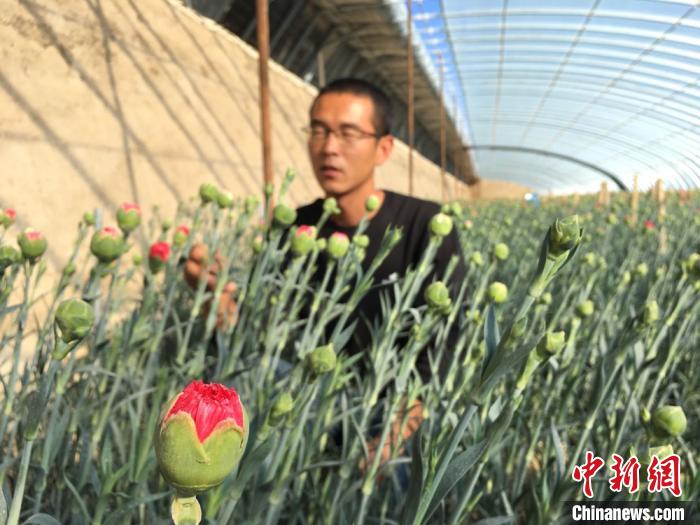 甘肃凉州叔侄扮“护花使者”：视如珍宝育戈壁“花花世界”