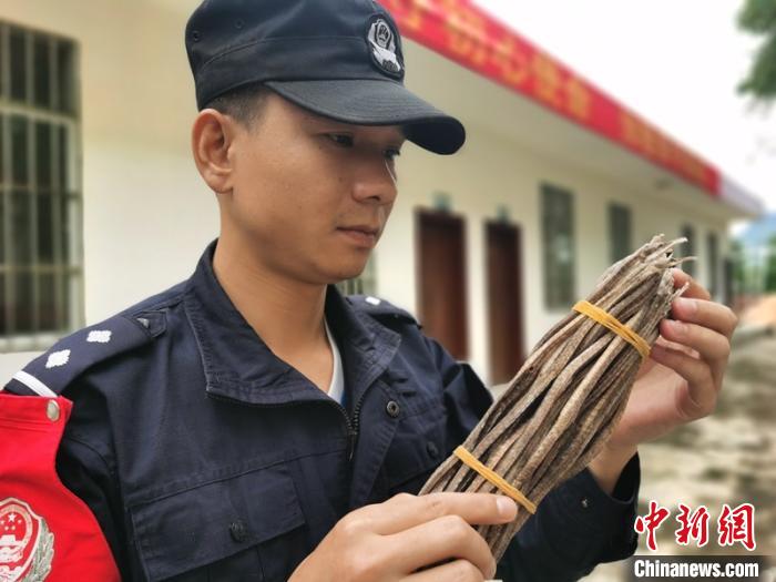 广西崇左警方破获特大走私海蛇、海燕干案