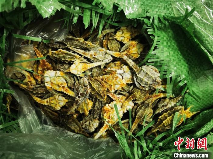 广西崇左警方破获特大走私海蛇、海燕干案