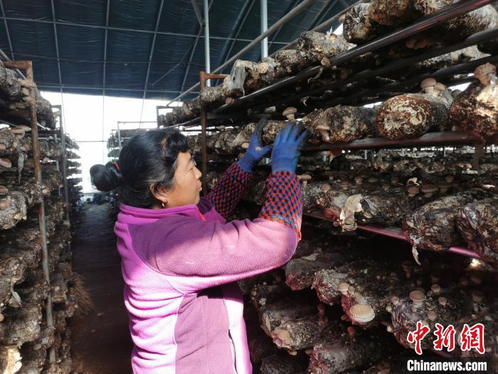 “十户联体”聚力嬗变山西交口探寻乡村振兴“密码”
