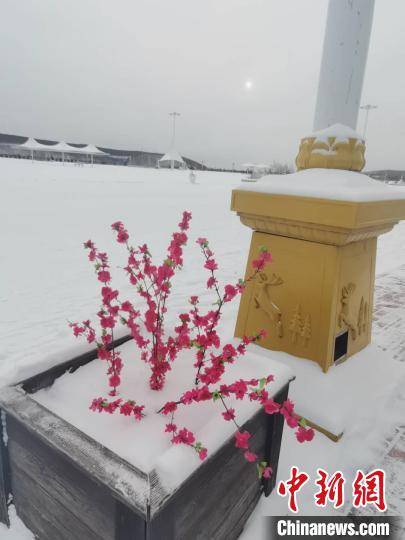 中国最美草原再降雪民众为吃涮羊肉喝小酒找到“理由”