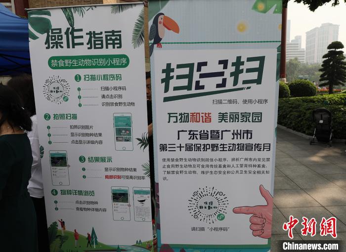 广东呼吁公众摒弃“野味滋补”伪健康概念